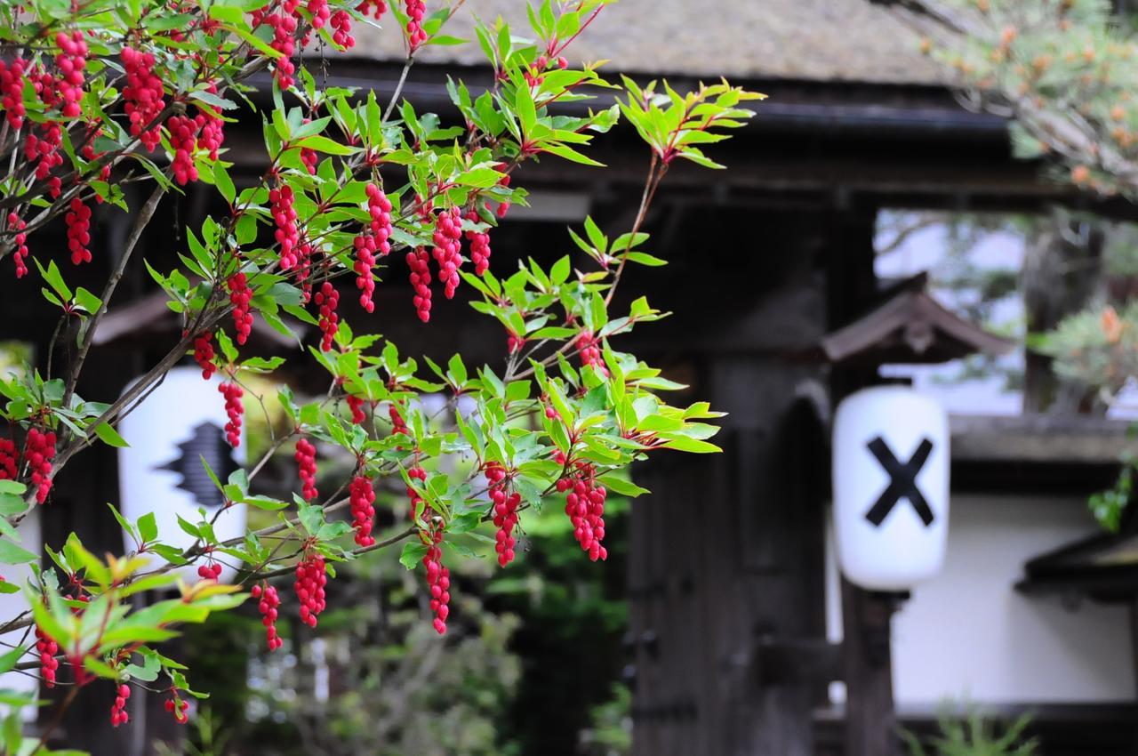 Sanboin Hotel Koyasan Eksteriør billede